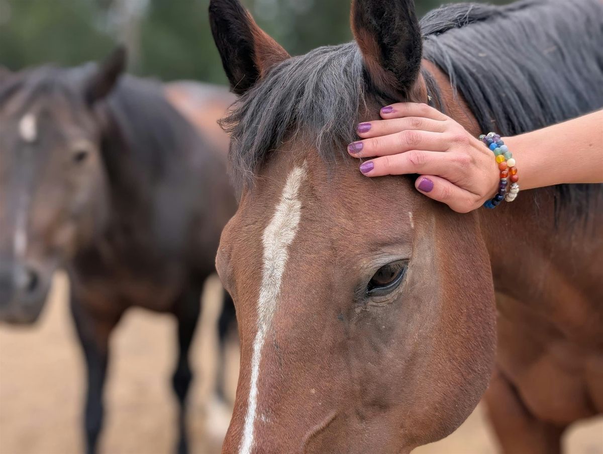Queer Connection: Equine-Assisted Workshop, 15 November | Event in Fort Collins | AllEvents