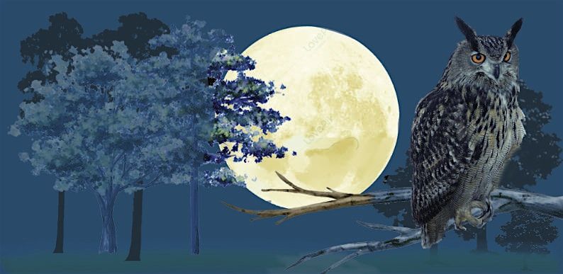 SUONI E RUMORI DEL BOSCO DI NOTTE, 7 June | Event in Castelseprio | AllEvents