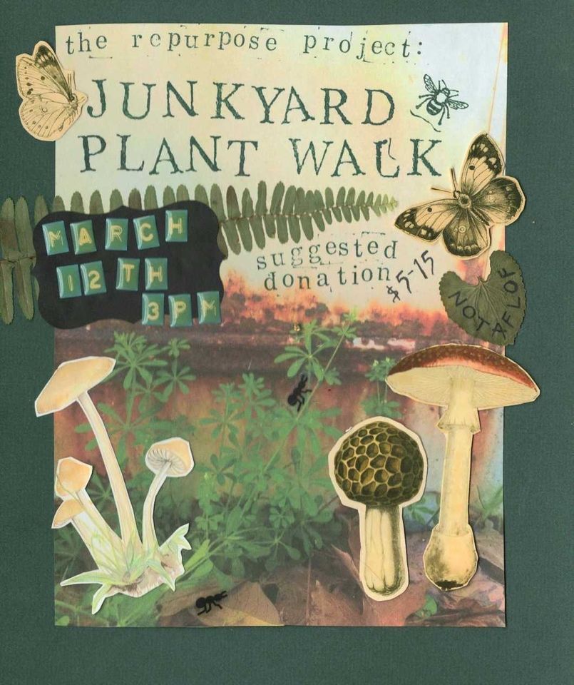 Junkyard Plant Walk , The Repurpose Project, Gainesville, 12 March 2023