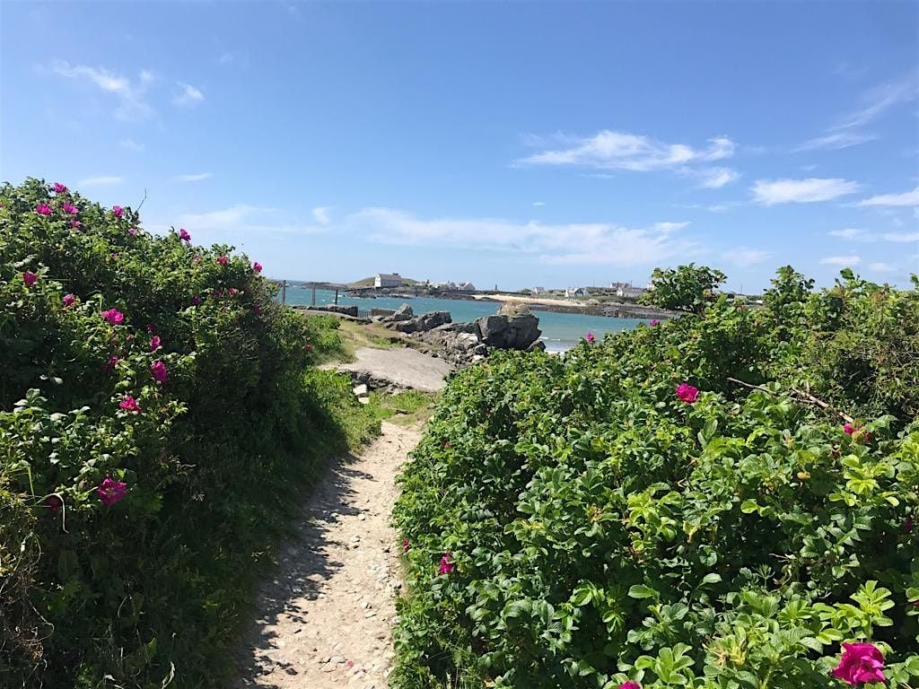 Ruth & Gavin's Yoga, Walking & Wild Swimming  Retreat in  Anglesey Apr '26, 24 April | Event in Rhoscolyn