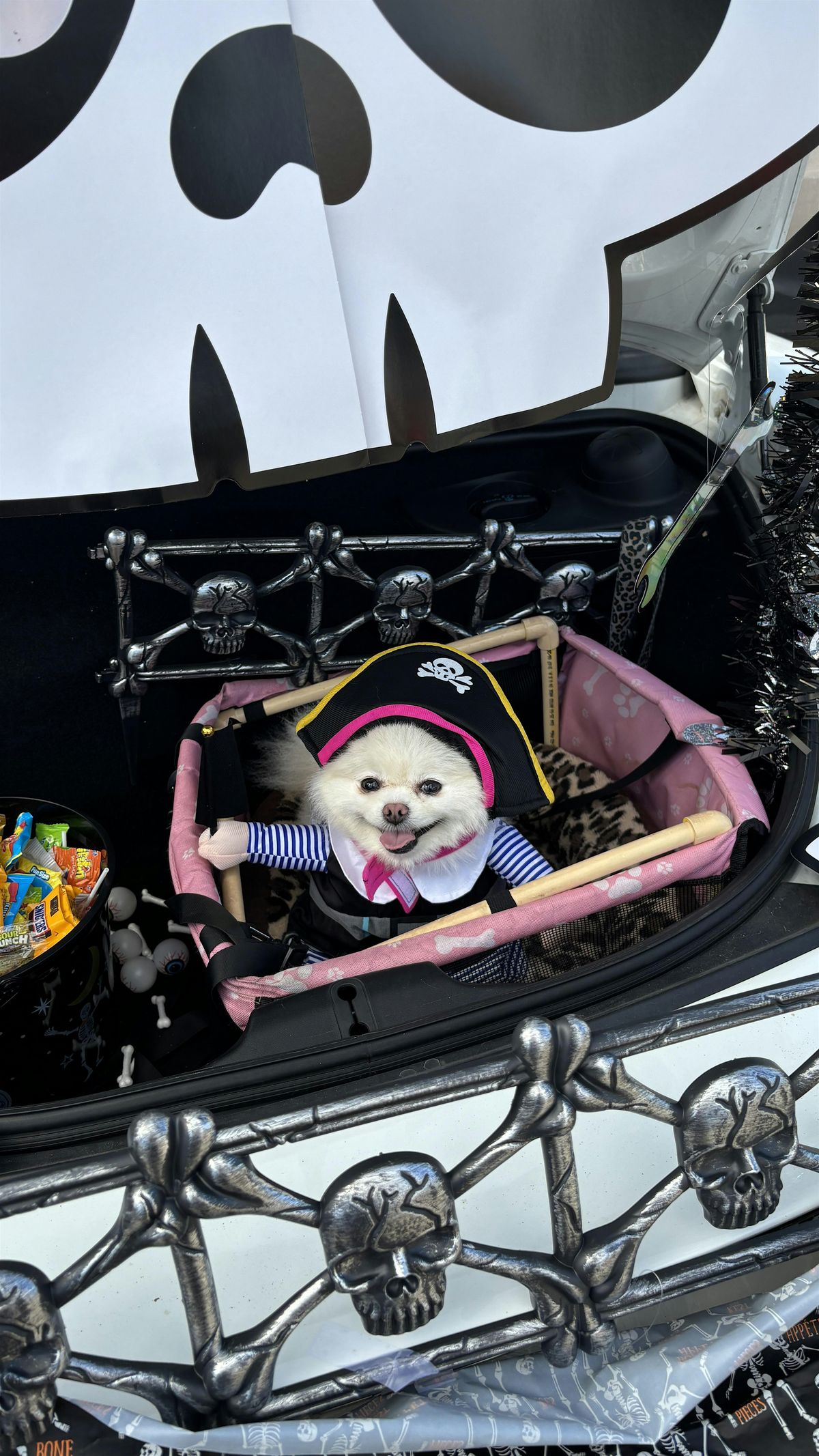 2nd Annual Trunk or Treat @ PLR, 30 October | Event in Jacksonville | AllEvents