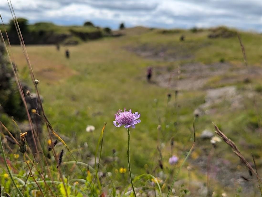 Field Identification Skills Certificate 2025, 5 August | Event in Morpeth | AllEvents