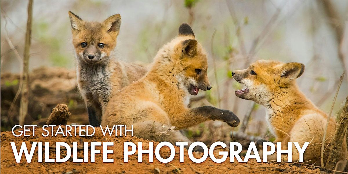 Get Started with Wildlife Photography, 30 August | Event in Allentown | AllEvents