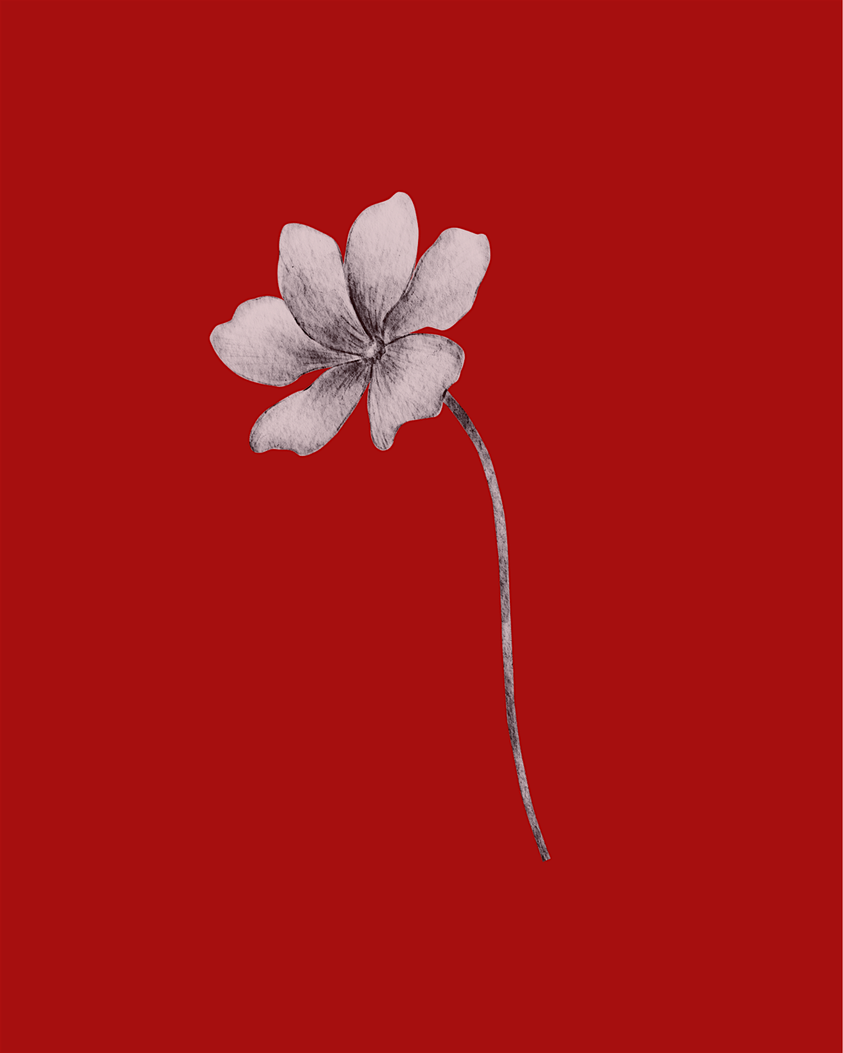 BHAGSVOTA PRESENTS: THE VULNER*ABILITY To Be A WILDFLOWER  by Brenden Lewis, 16 August | Event in Dallas | AllEvents