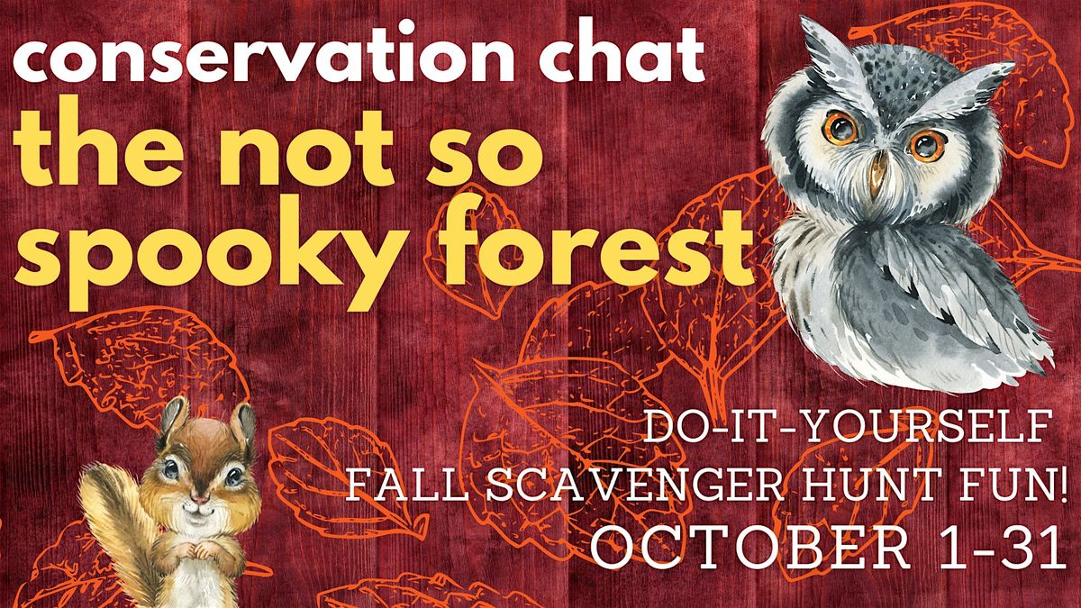 Conservation Chat: The Not So Spooky Forest 2025, 1 October | AllEvents