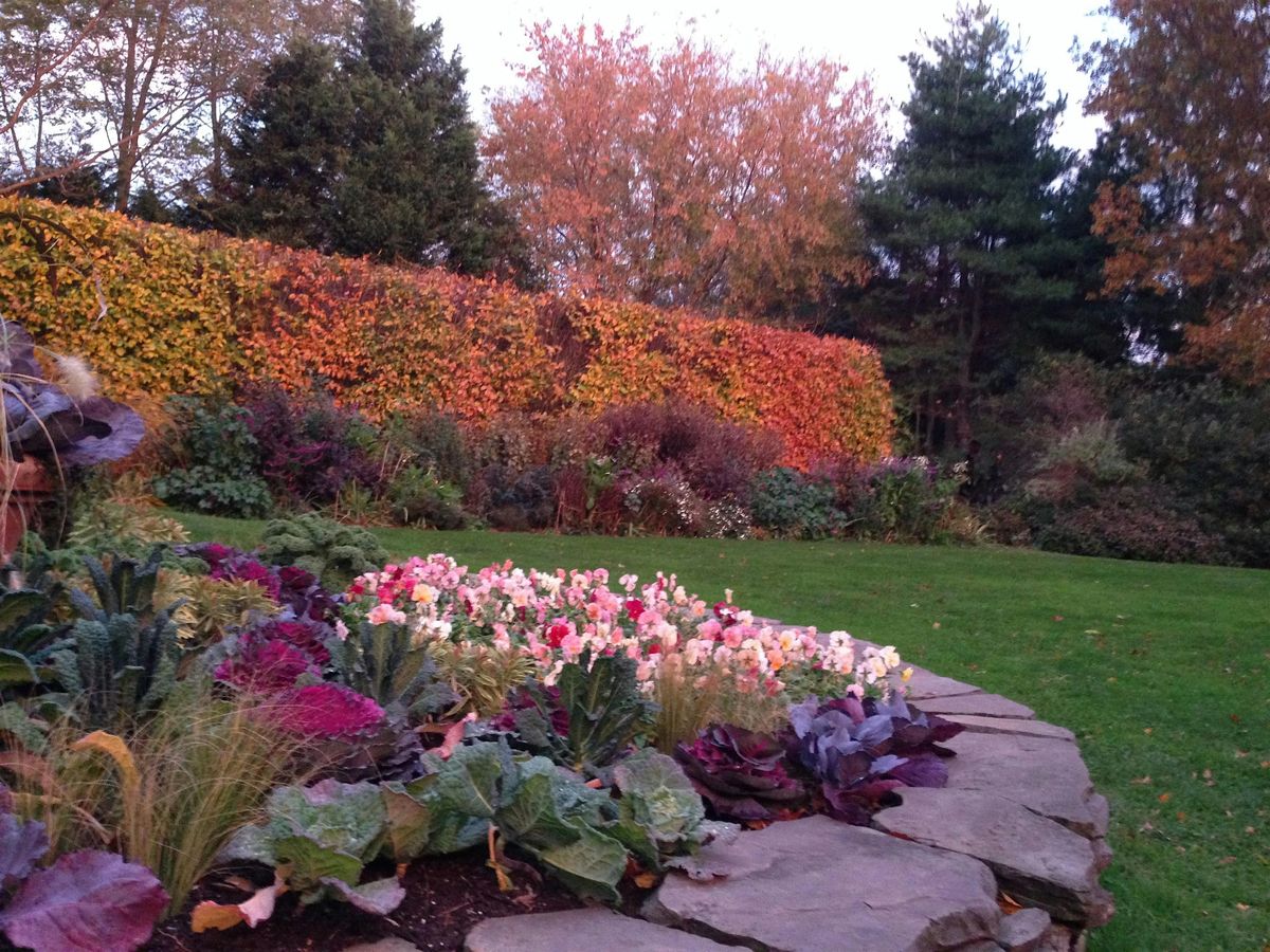 Botanical Curation with Dr. Jonathan Lehrer, 25 June | Event in Mattituck | AllEvents