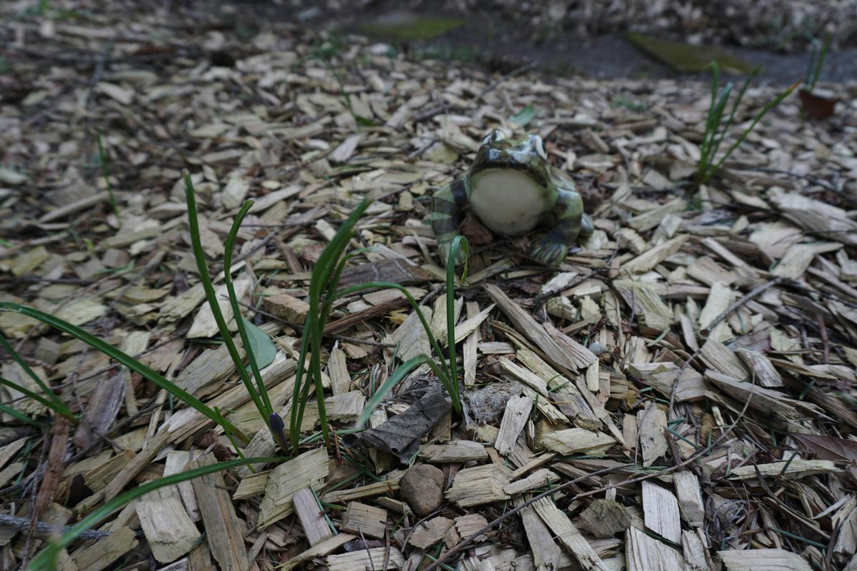 DIG DAY - Hagg Lake sponsored by Spurcycle