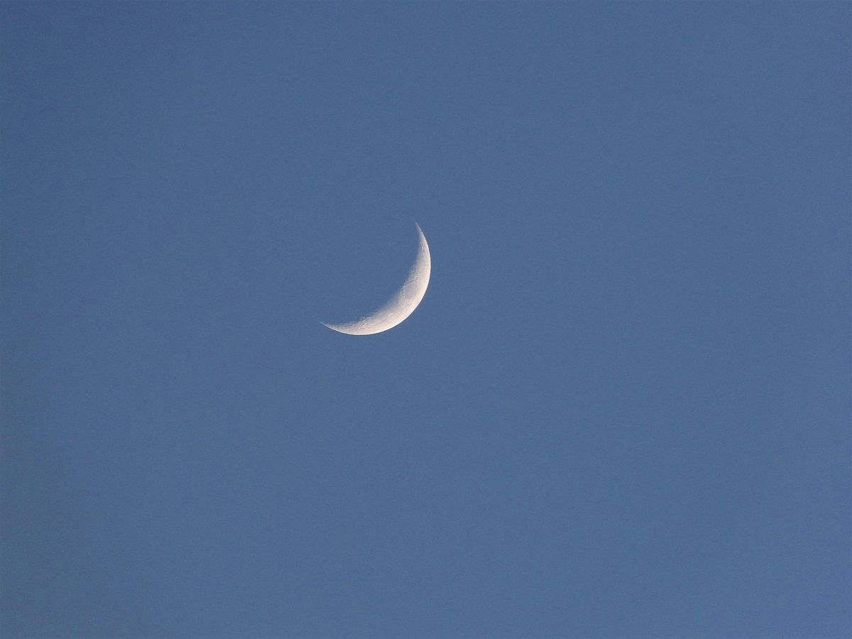 Night Walk: Fall Equinox, 20 September | Event in Madison | AllEvents