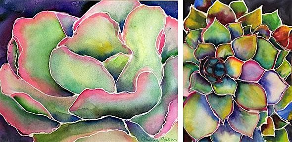 Soft Succulents in Watercolors with Phyllis Gubins, 16 August | Event in Ventura | AllEvents
