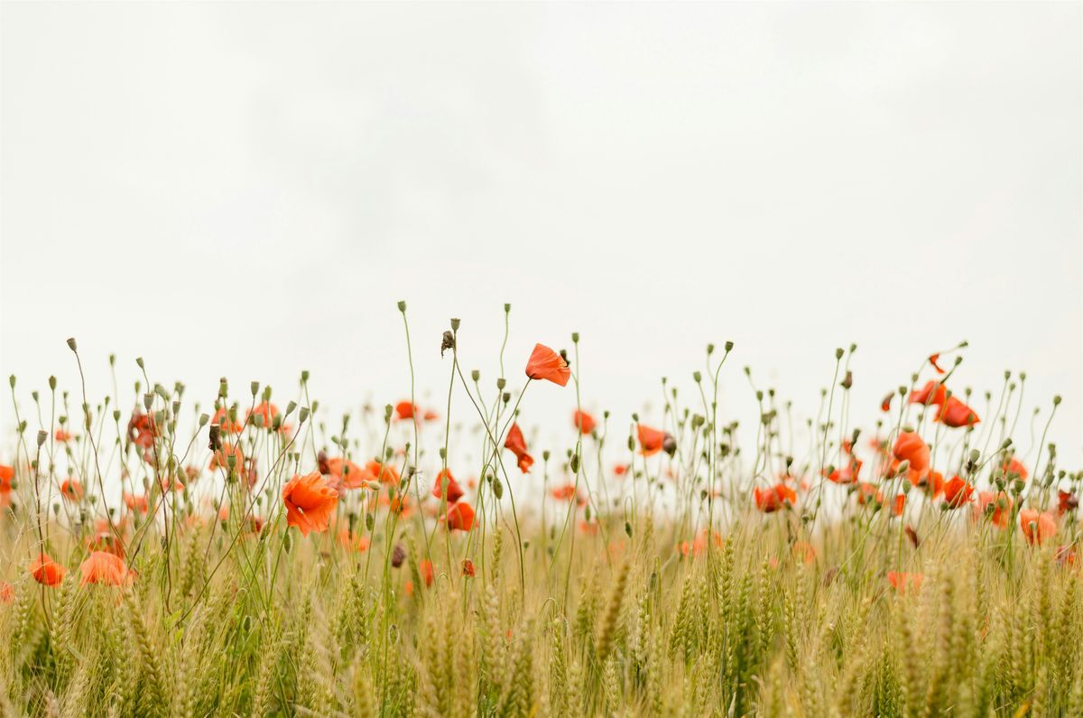 Meditative Nature Walks with Psychotherapist Tori Agawa, 3 October | Event in Pleasanton | AllEvents