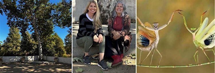Tai Chi &  Reflective Meditation at King Gillette Ranch | Event in Calabasas | AllEvents