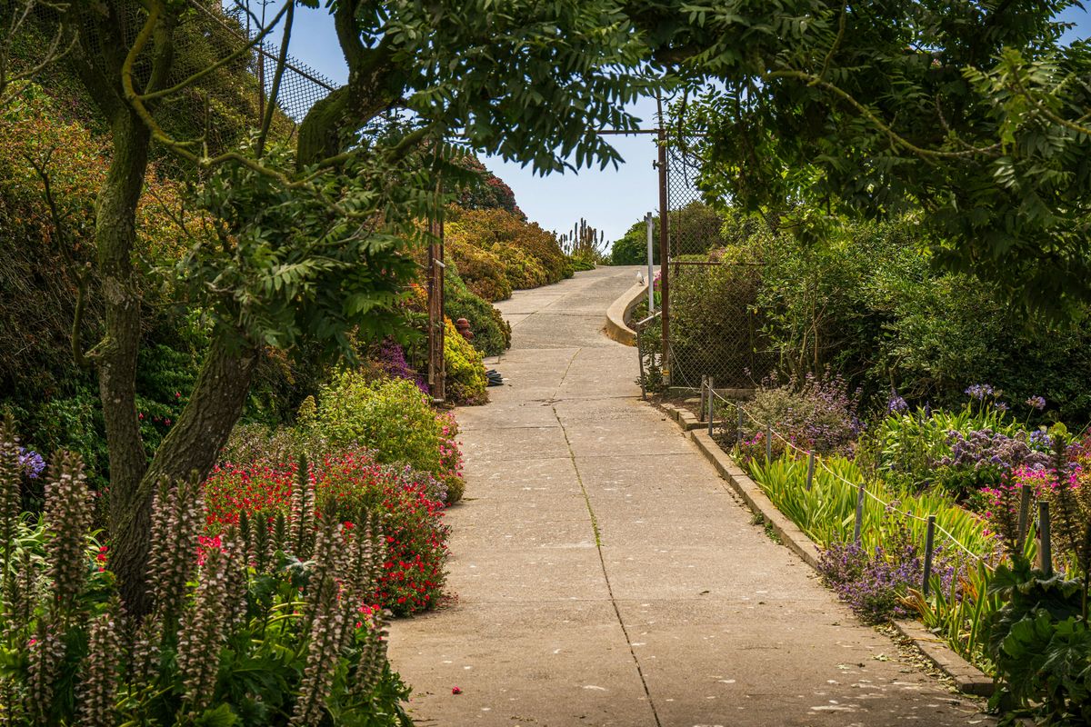 Homesteading Workshop Herbal Remedies, 9 July | Event in Fleetwood | AllEvents