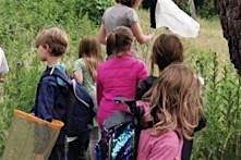 DLR Biodiversity Minibeasts Safari. Meet at the Coffee Shop in Fernhill., 24 August | Event in Dublin | AllEvents