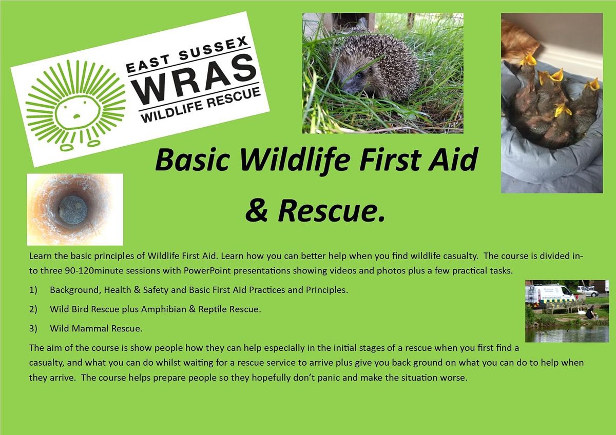 Basic Wildlife First Aid & Rescue Full Day Course, East Sussex Wildlife Rescue & Ambulance Basic Wildlife First Aid & Rescue Full Day Course, East Sussex Wildlife Rescue & Ambulance