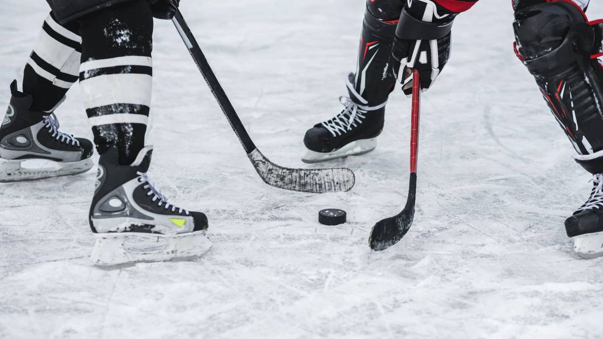 Florida Panthers at Utah Mammoth Tickets, 10 December | Event in Salt Lake City | AllEvents