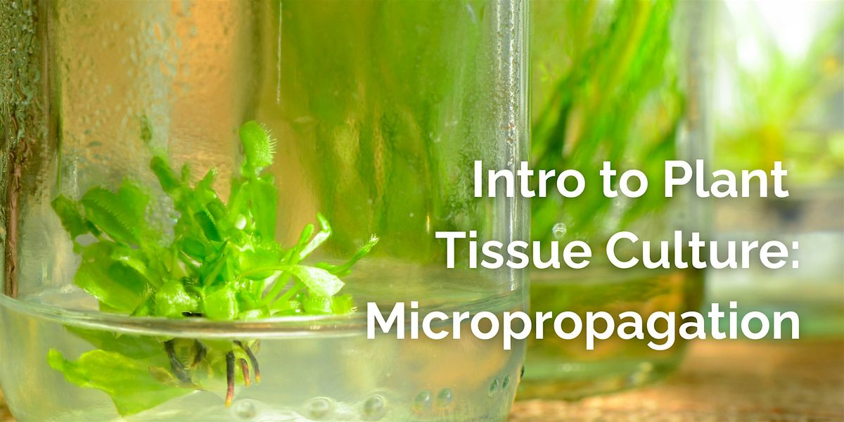 Intro to Plant Tissue Culture: Micropropagation, 7 June | Event in Brooklyn | AllEvents