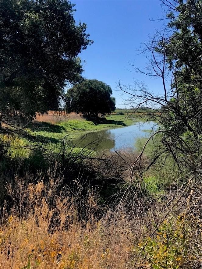 Waldo Holt Preserve Field Trip, 19 July | Event in Collierville | AllEvents
