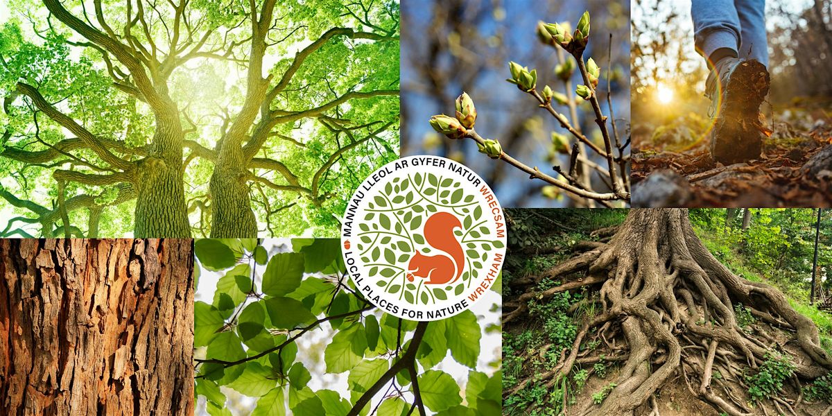 Nant Mill Bus + optional "Walking with Trees" tour with Woodland Classroom, 17 June | Event in Wrexham
