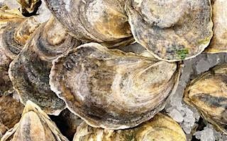 Premiere Series: Merroir—The Wonderful  World of Oysters—$150, 3 May | Event in Cambridge | AllEvents