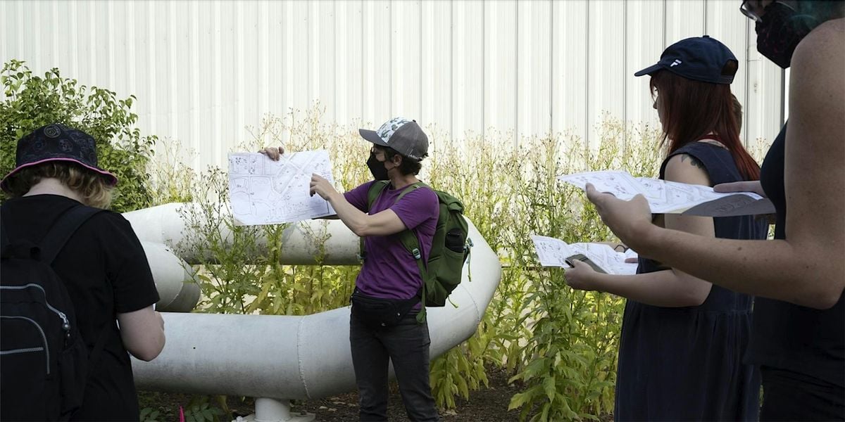 Nature/Culture Walk: Black Walnut Tree Collectives, 2 October | Event in Madison | AllEvents