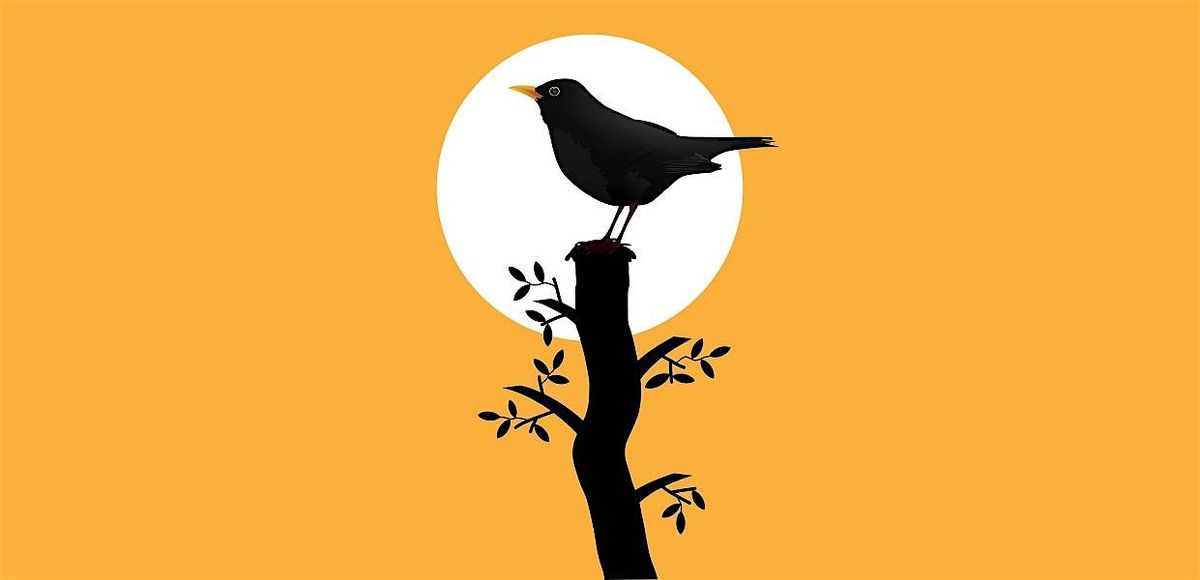 Autumn Bird Walk | The Lower Derwent Valley, 26 October | Event in Blaydon | AllEvents