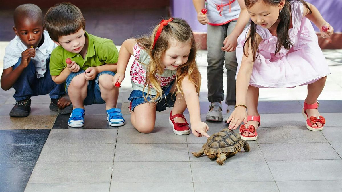 Early Learning Connections, 5 December | Event in Arlington | AllEvents