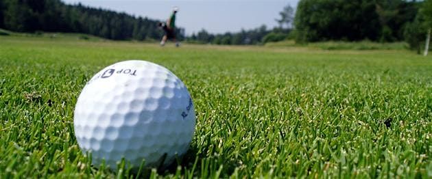 2025 Rochester Traveling Golf Leagues, 2 June | Event in Rochester | AllEvents