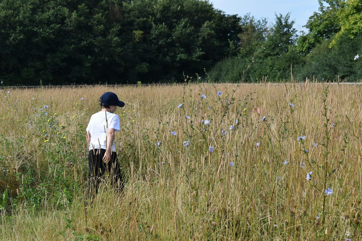 Abberton Home Education: Conservation Rangers