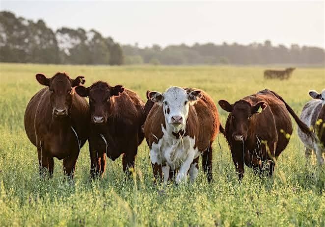 Optimizar alimentos y llevar un SANO desarrollo en las Vacas, Toros y Cerdo | Event in Zapotlanejo | AllEvents