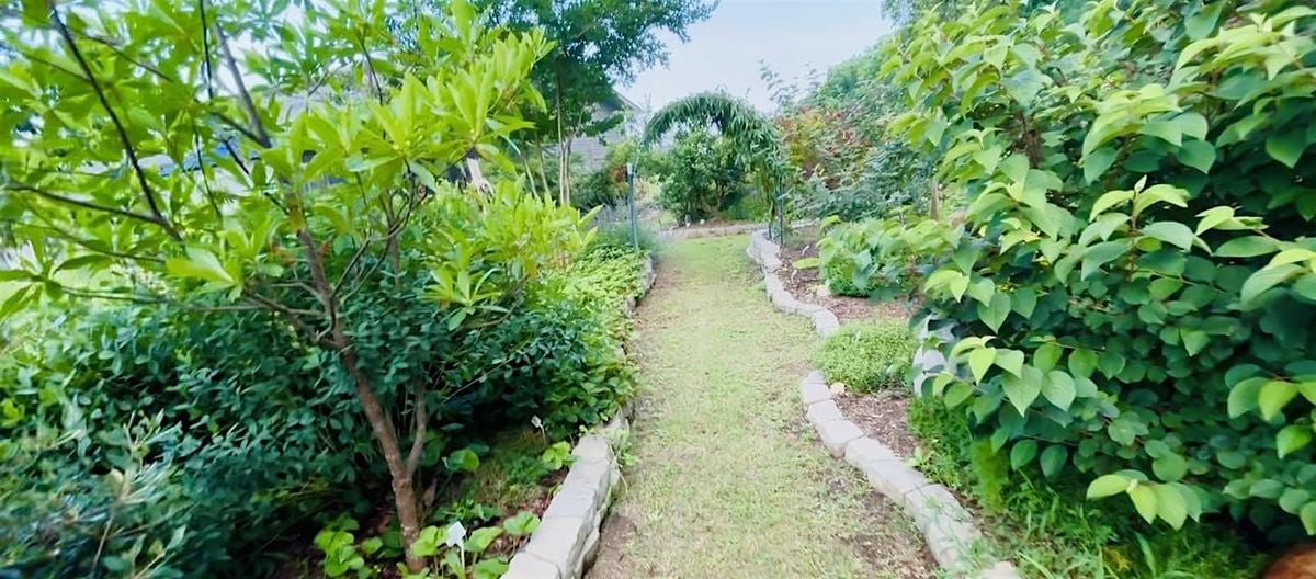 Walking with (inner) Wisdom: A silent walking meditation experience, 20 July | Event in Chapel Hill | AllEvents