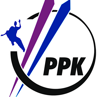 Pinnacle Parkour Academy