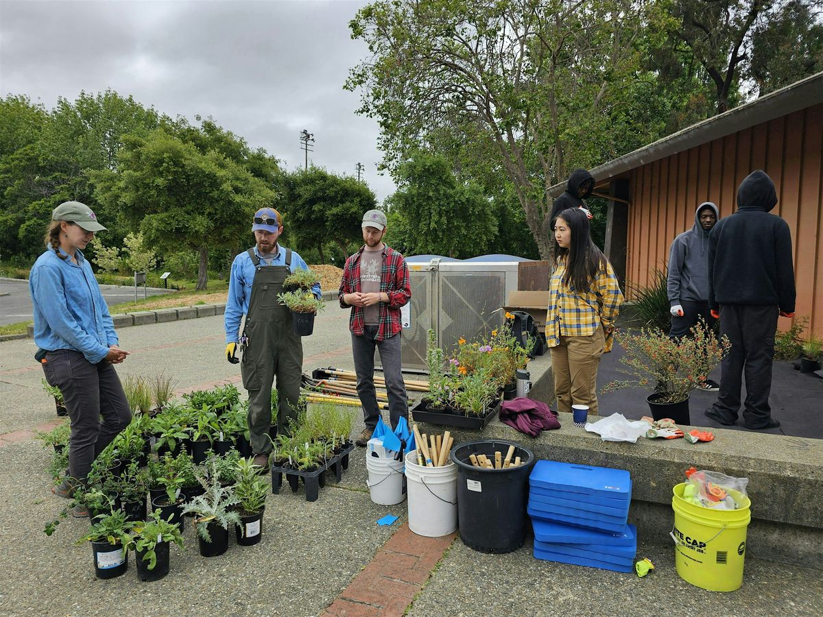 Baxter Creek Community Day: Native Plants, Birding, Cleanups, and More!, 6 December | Event in Richmond | AllEvents