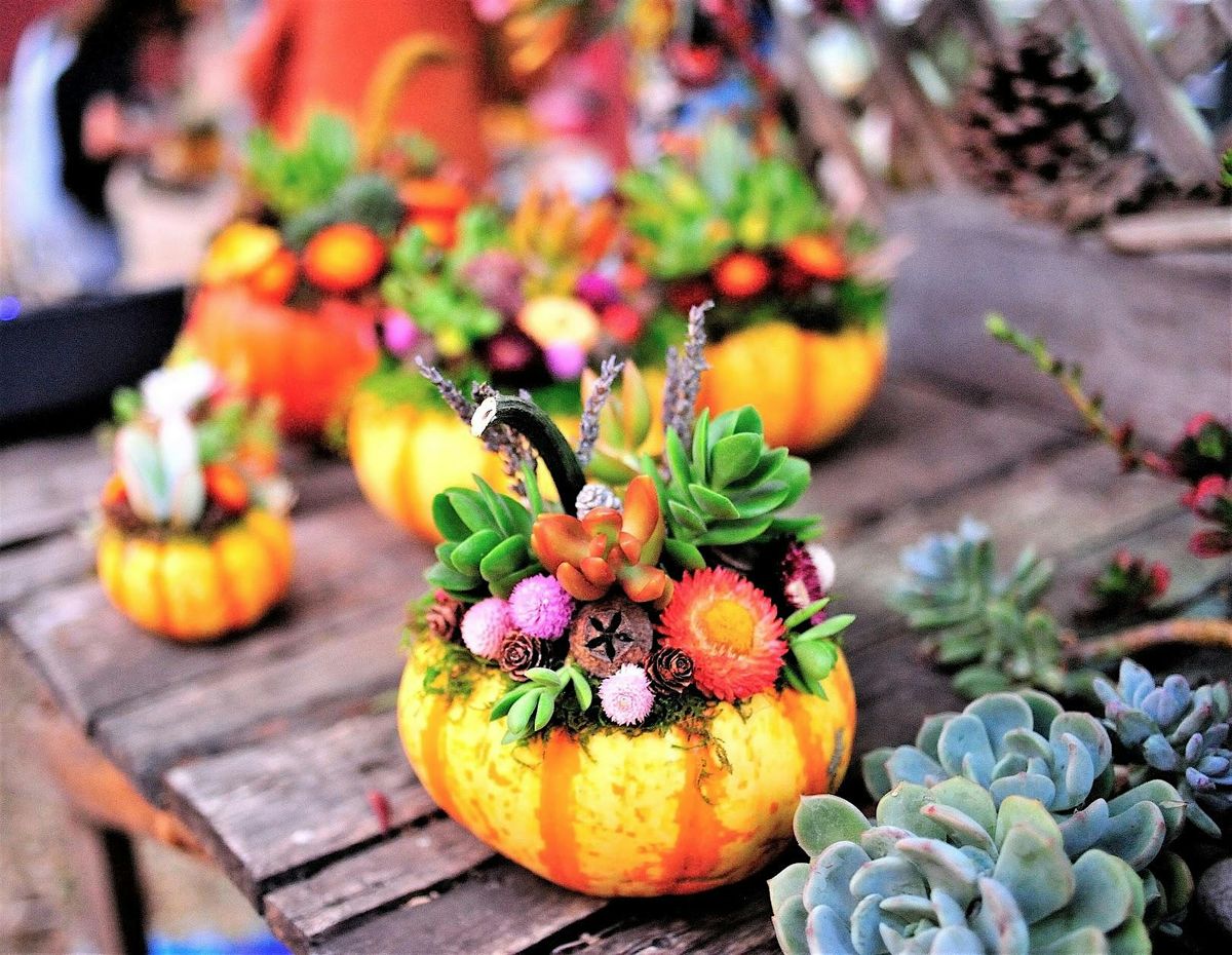 Forever Bloom Farm  - Fall Centerpiece Workshop – Pescadero, CA – 10/04/25, 4 October | Event in Pescadero