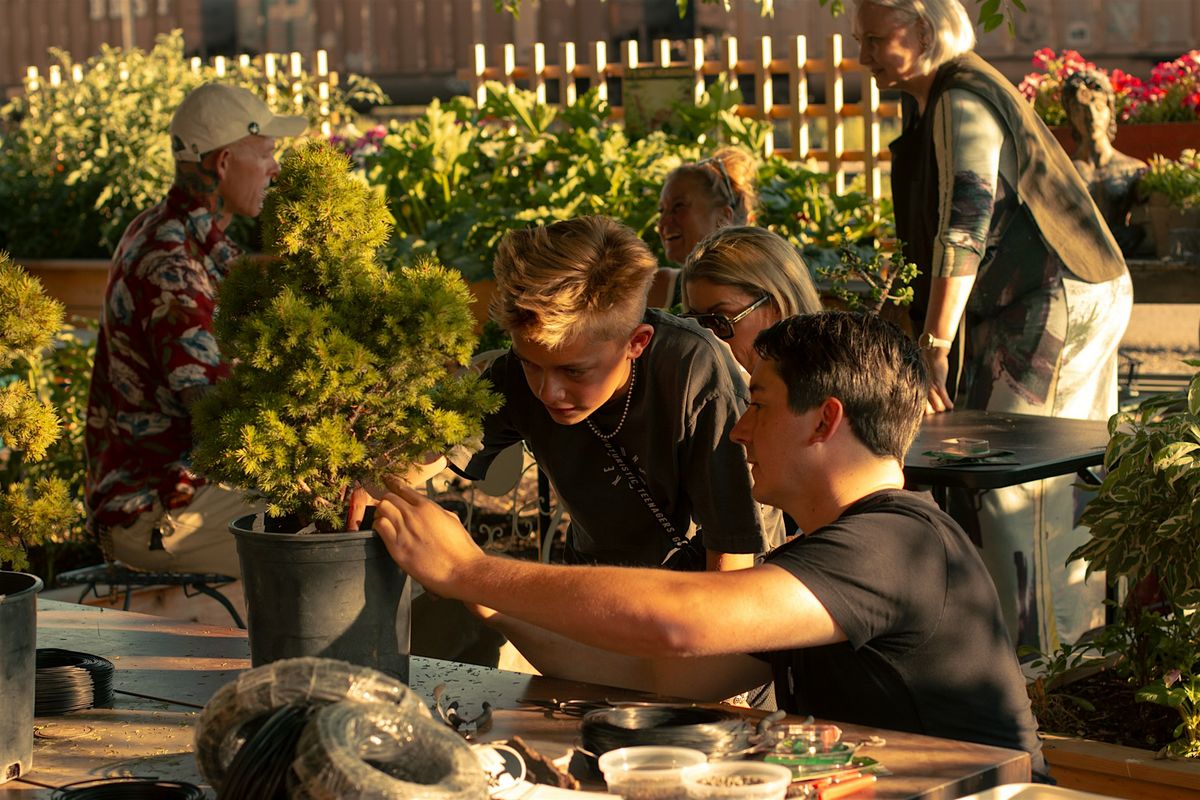 Bonsai Basics: Hands-On Workshop, 19 October | Event in Missoula | AllEvents