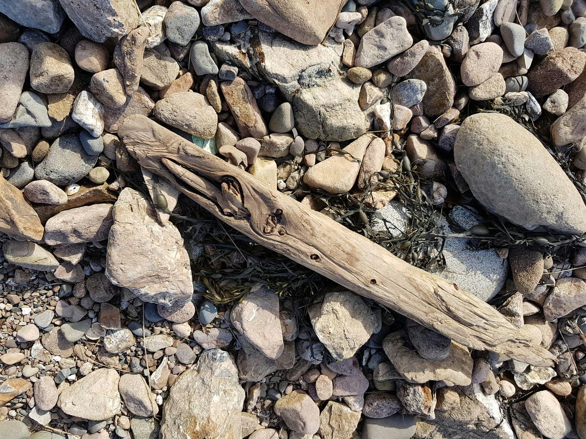 Introduction to working with wild-wood, 28 September | Event in Scorton | AllEvents