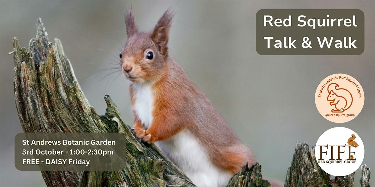 Red Squirrel Talk & Walk, 3 October | Event in St Andrews | AllEvents