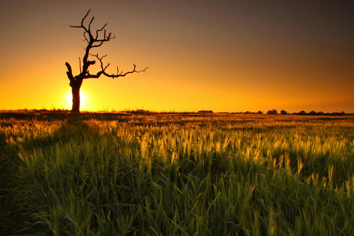 The Ecology of Climate Change with Brian Eversham, 5 July | Event in Peterborough | AllEvents