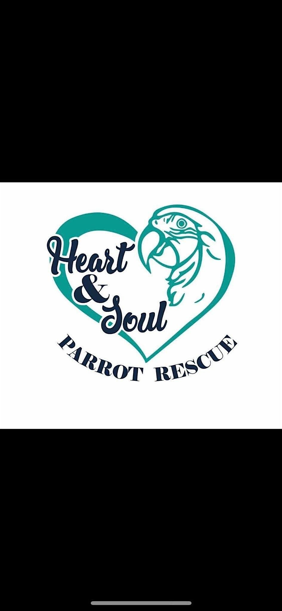 August Basic Parrot Class, 9 August | Event in Bridgeville | AllEvents