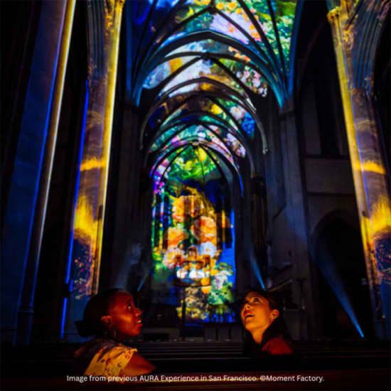 AURA: Une expérience immersive plus grande que nature - Carte-Cadeau, 1 January | Online Event | AllEvents