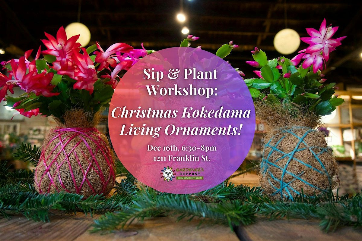 Sip & Plant Workshop: Christmas Kokedama Living Ornaments!, 16 December | Event in Columbia | AllEvents
