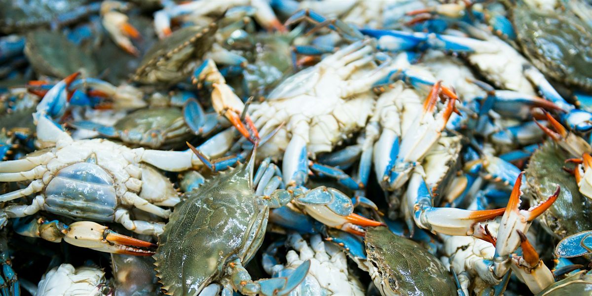 Crabs for a Cause 2025, 27 September | Event in Cumberland | AllEvents