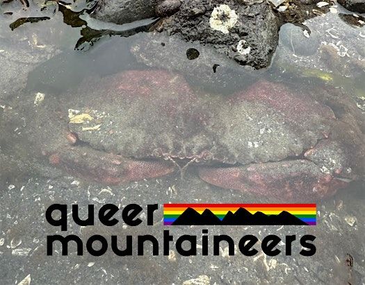 Low Tide Beach Hike at Point Defiance with Queer Mountaineers, 10 August | Event in Tacoma | AllEvents