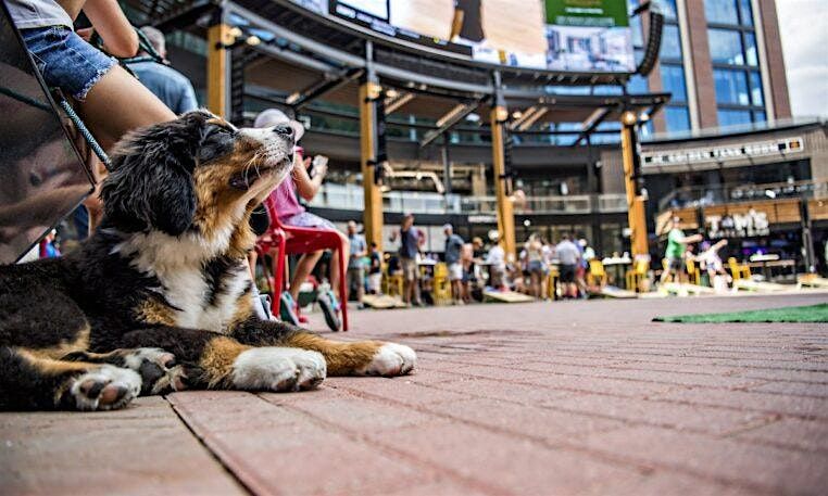 Bark At The Park Yappy Hour, 2 September | Event in Denver | AllEvents