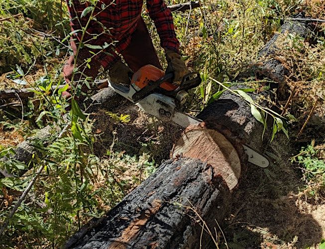 Blodgett Forest Research Station and Experimental Forest Field Tour, 6 November | Event in Georgetown | AllEvents
