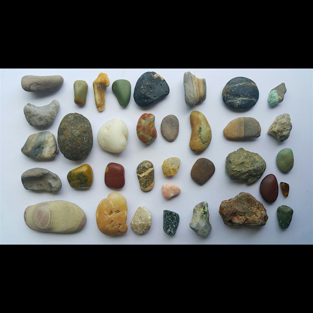 Geology Rocks!-Tiny Tots (3-5 years), $4 cash per child, 18 September | Event in Kings Park | AllEvents