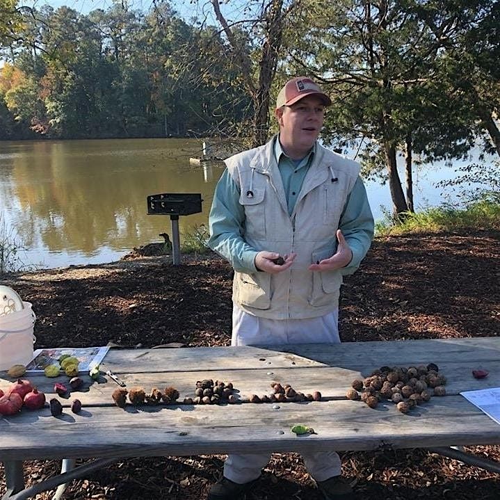 Fall Forest Treasures: Fungi & Nut Foraging Expedition, 8 November | Event in Apex | AllEvents