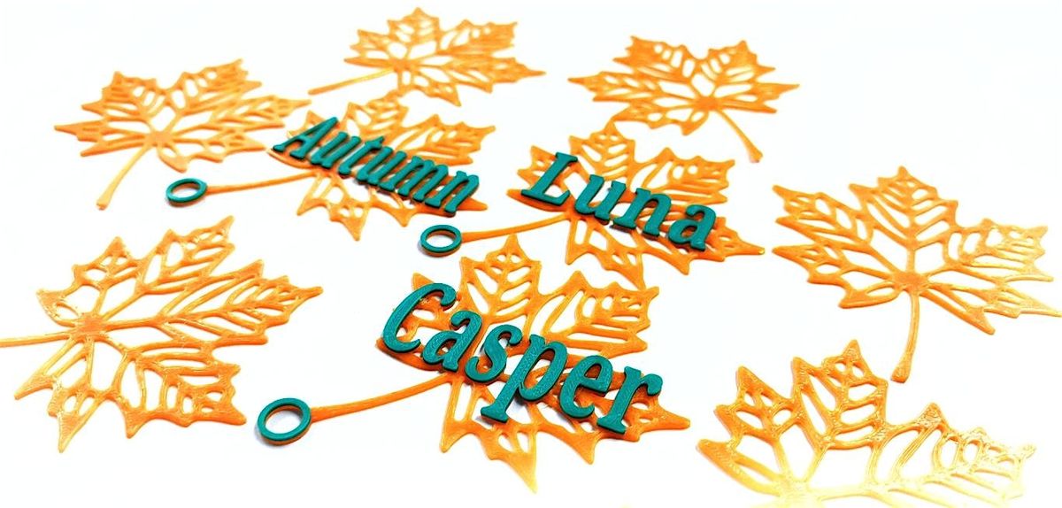 3D Design a Maple Leaf Nametag with Tinkercad Demo, 7 October | Event in Toronto | AllEvents