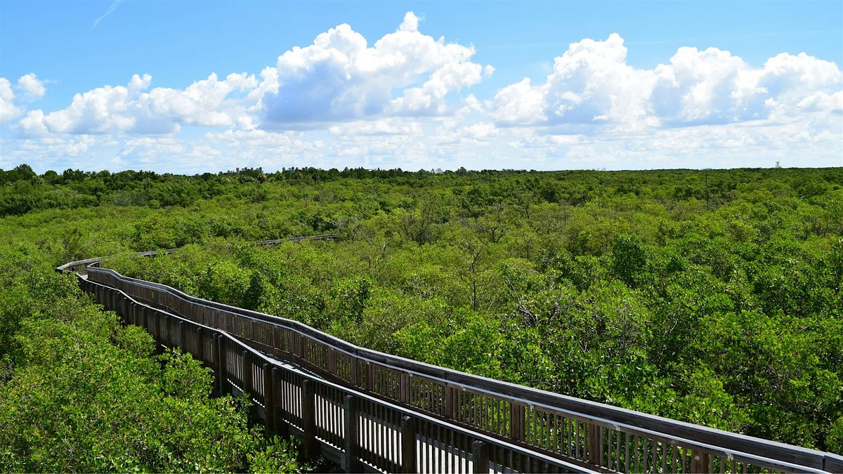 Naturalist Guided Tour, 3 May | Event in St. Petersburg | AllEvents