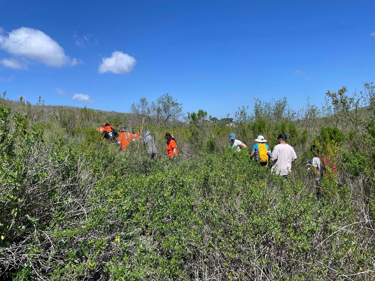 Restoration at the Upper Newport Bay (Riparian), 9 December | Event in Newport Beach | AllEvents