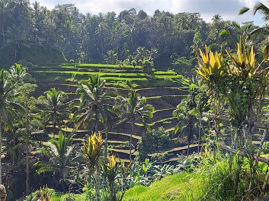 2025 BALI  INDONESIA Group Trip, 21 June | Event in Kuta | AllEvents